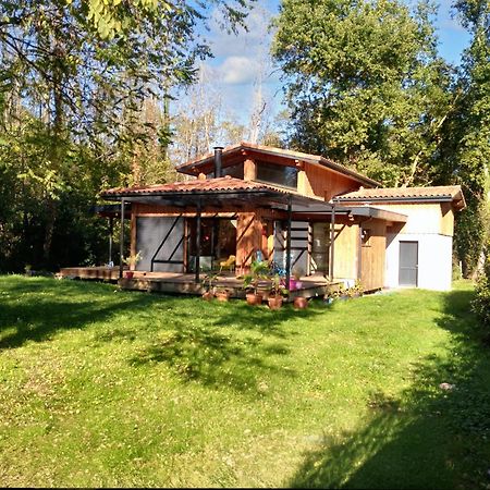 Maison Spacieuse A Saint Selve Avec Jardin Et Barbecue 125 M² 외부 사진